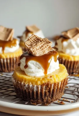 MINI PUMPKIN S’MORES CHEESECAKES