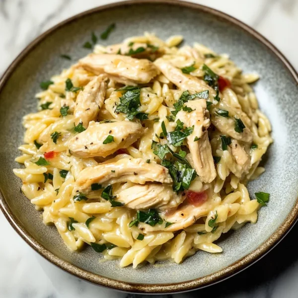 BOURSIN ORZO WITH CHICKEN